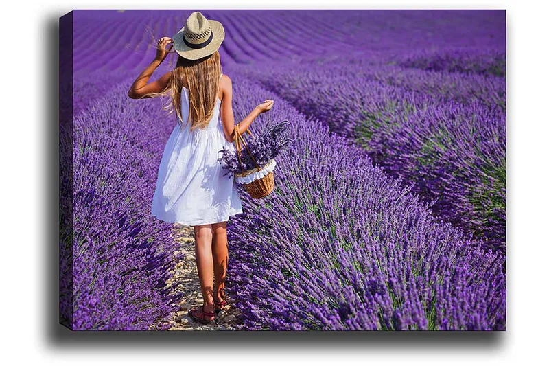 Dekorativ Canvasbillede 50x70 cm - Flerfarvet - Boligtilbehør - Billeder & kunst - Billeder på lærred