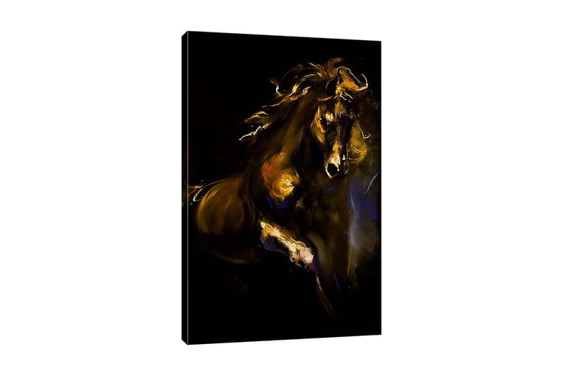 Dekorativ Canvasbillede 50x70 cm, Flerfarvet