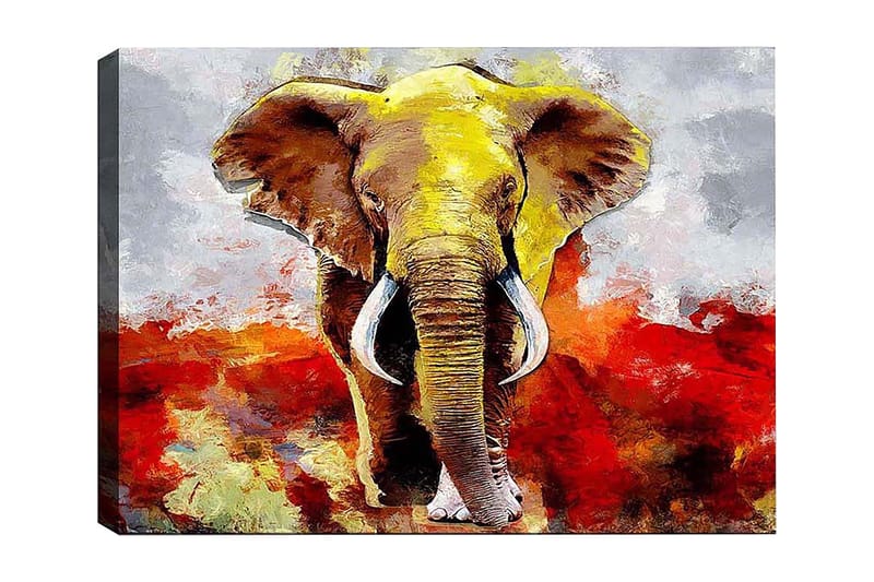 Dekorativ Canvasbillede 50x70 cm, Flerfarvet