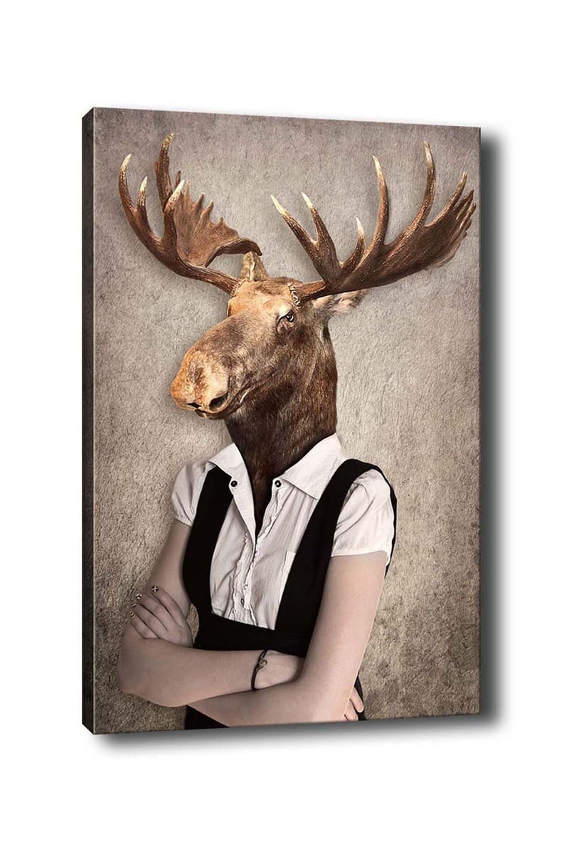 Dekorativ Canvasbillede 50x70 cm, Flerfarvet