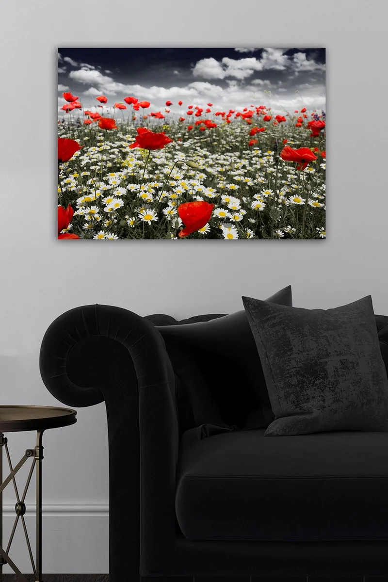 Dekorativ Canvasbillede 50x70 cm, Flerfarvet