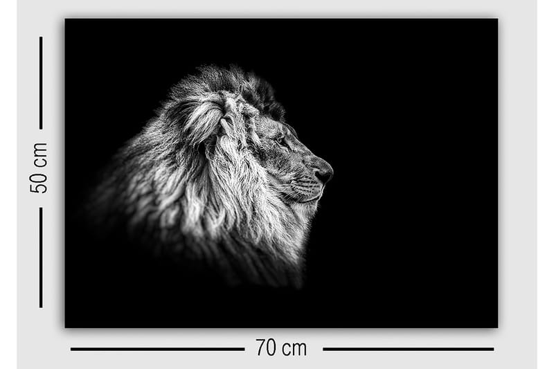 Dekorativ Canvasbillede 50x70 cm - Flerfarvet - Boligtilbehør - Billeder & kunst - Billeder på lærred