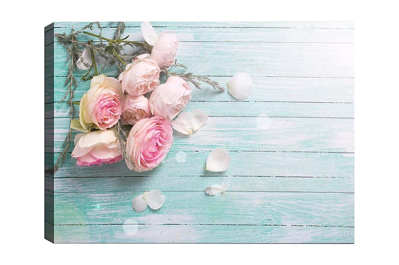 Dekorativ Canvasbillede 50x70 cm, Flerfarvet