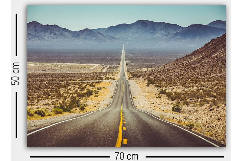 Dekorativ Canvasbillede 50x70 cm - Flerfarvet - Boligtilbehør - Billeder & kunst - Billeder på lærred