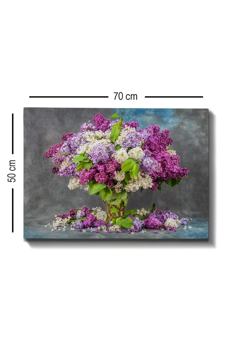 Dekorativ Canvasbillede 50x70 cm - Flerfarvet - Boligtilbehør - Billeder & kunst - Billeder på lærred