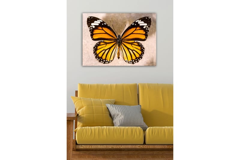 Dekorativ Canvasbillede 50x70 cm, Flerfarvet