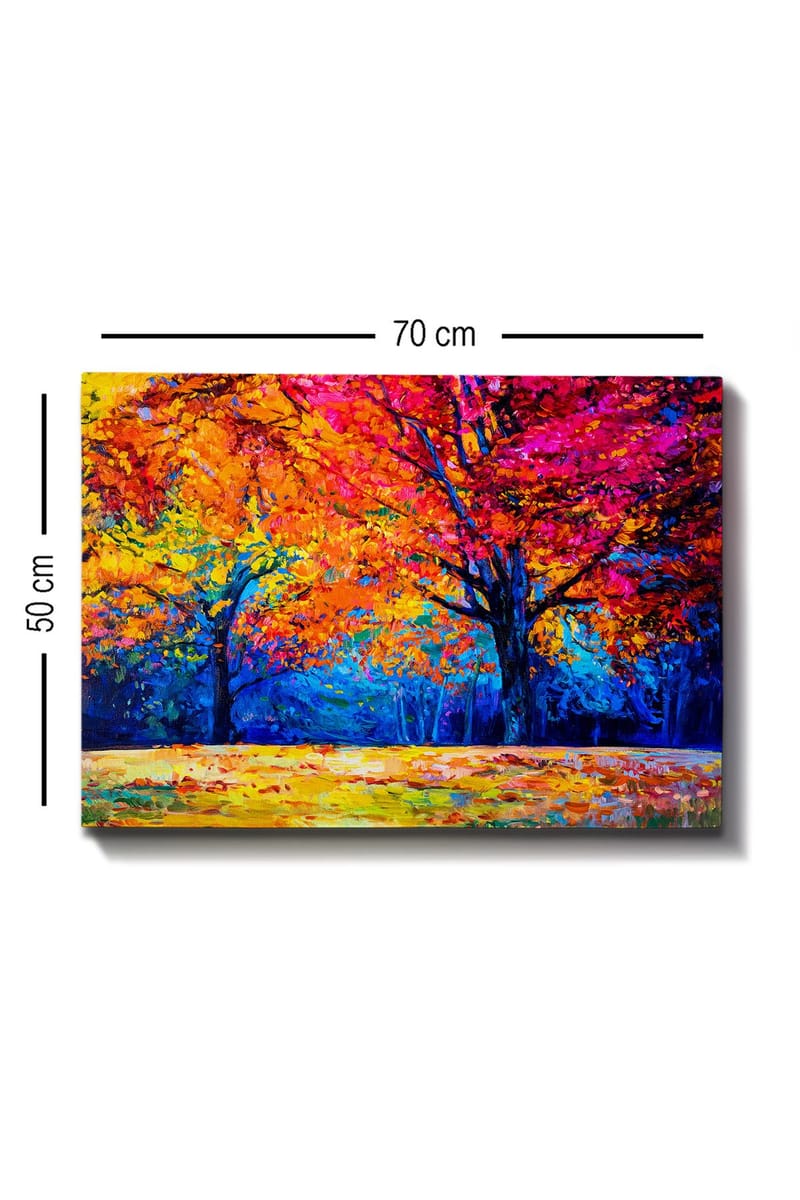 Dekorativ Canvasbillede 50x70 cm - Flerfarvet - Boligtilbehør - Billeder & kunst - Billeder på lærred