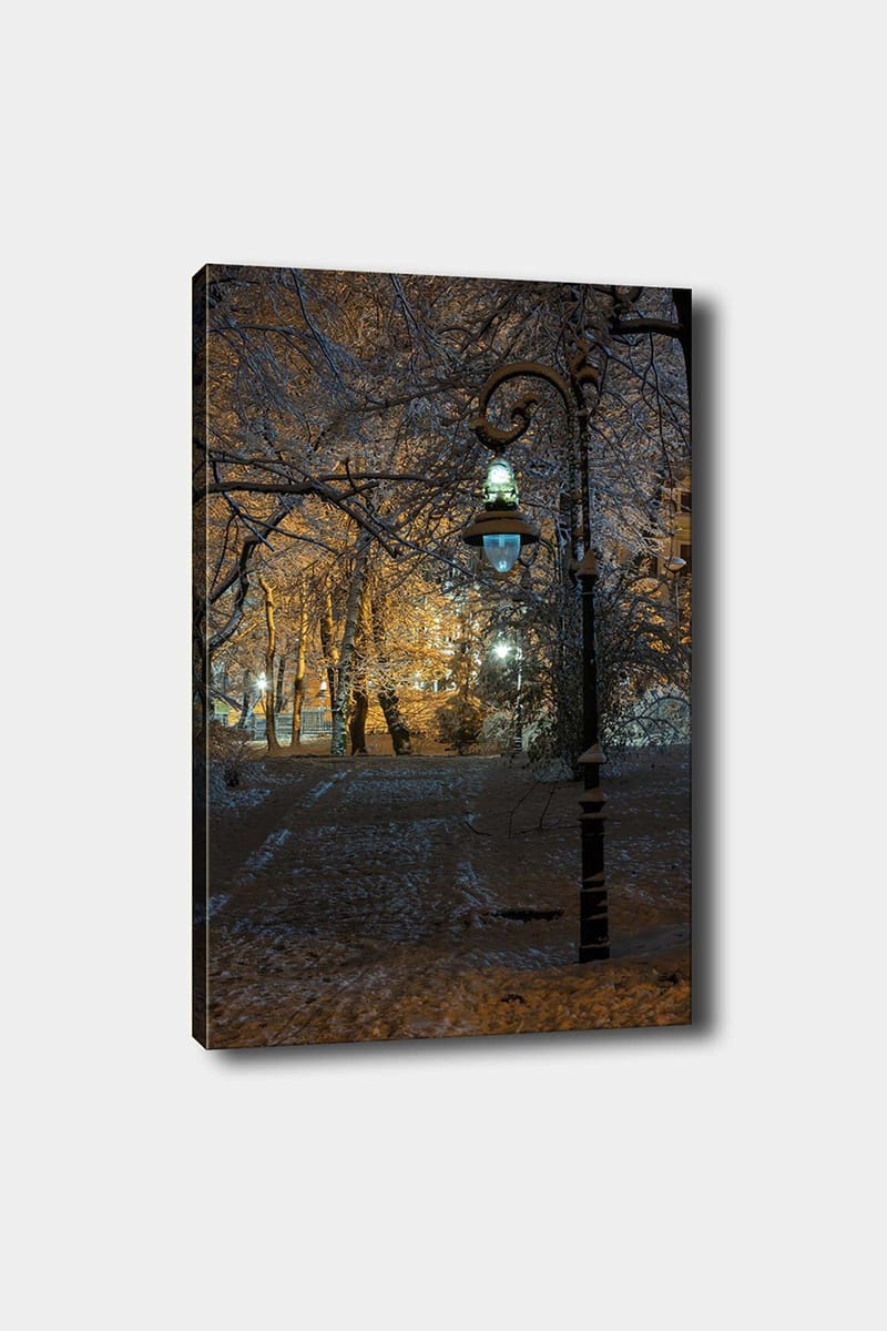 Dekorativ Canvasbillede 50x70 cm, Flerfarvet