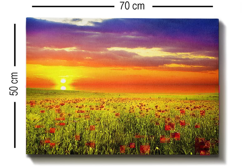 Dekorativ Canvasbillede 50x70 cm - Flerfarvet - Boligtilbehør - Billeder & kunst - Billeder på lærred