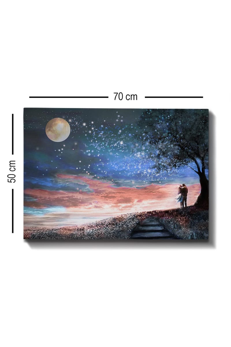 Dekorativ Canvasbillede 50x70 cm - Flerfarvet - Boligtilbehør - Billeder & kunst - Billeder på lærred