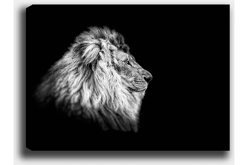 Dekorativ Canvasbillede 50x70 cm - Flerfarvet - Boligtilbehør - Billeder & kunst - Billeder på lærred