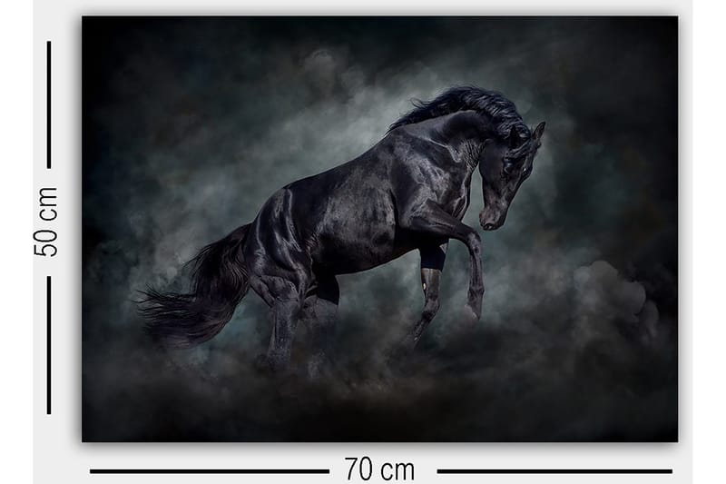 Dekorativ Canvasbillede 50x70 cm - Flerfarvet - Boligtilbehør - Billeder & kunst - Billeder på lærred