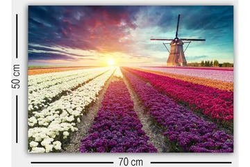 Dekorativ Canvasbillede 50x70 cm - Flerfarvet - Boligtilbehør - Billeder & kunst - Billeder på lærred