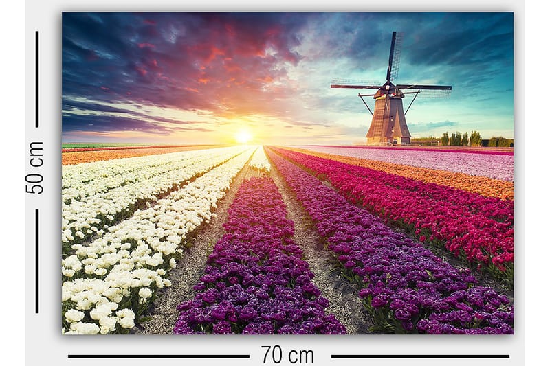 Dekorativ Canvasbillede 50x70 cm - Flerfarvet - Boligtilbehør - Billeder & kunst - Billeder på lærred