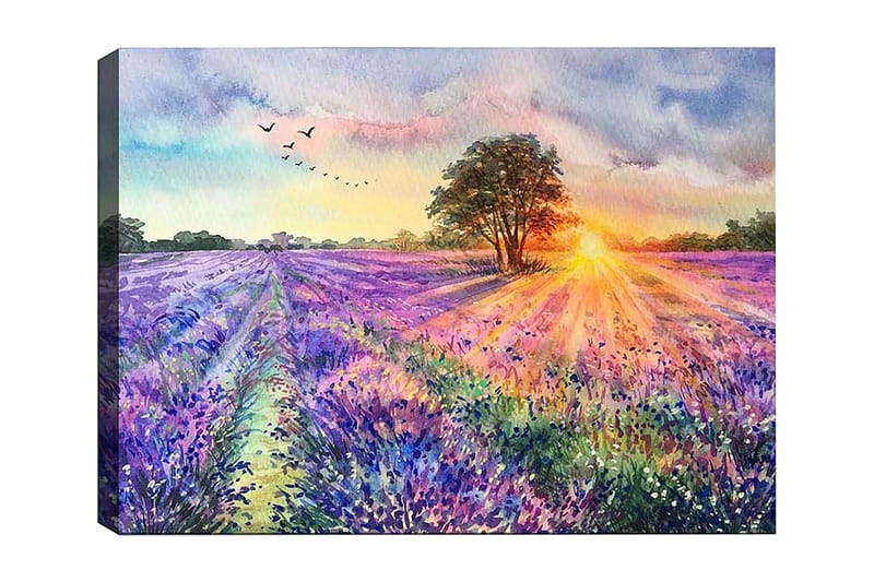 Dekorativ Canvasbillede 50x70 cm, Flerfarvet