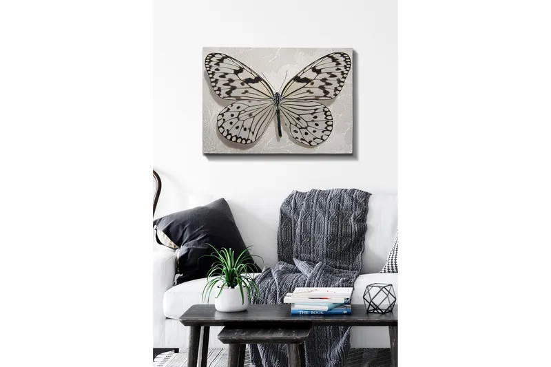 Dekorativ Canvasbillede 50x70 cm, Flerfarvet