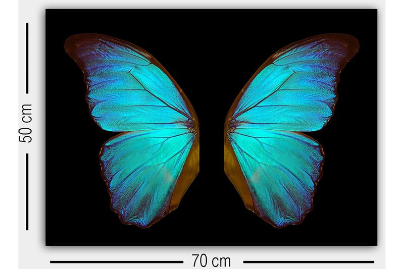 Dekorativ Canvasbillede 50x70 cm - Flerfarvet - Boligtilbehør - Billeder & kunst - Billeder på lærred