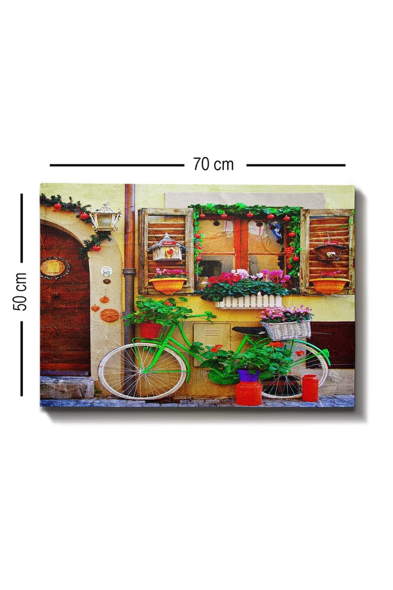 Dekorativ Canvasbillede 50x70 cm - Flerfarvet - Boligtilbehør - Billeder & kunst - Billeder på lærred