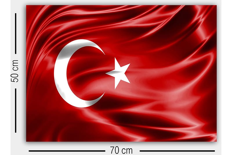 Dekorativ Canvasbillede 50x70 cm - Flerfarvet - Boligtilbehør - Billeder & kunst - Billeder på lærred