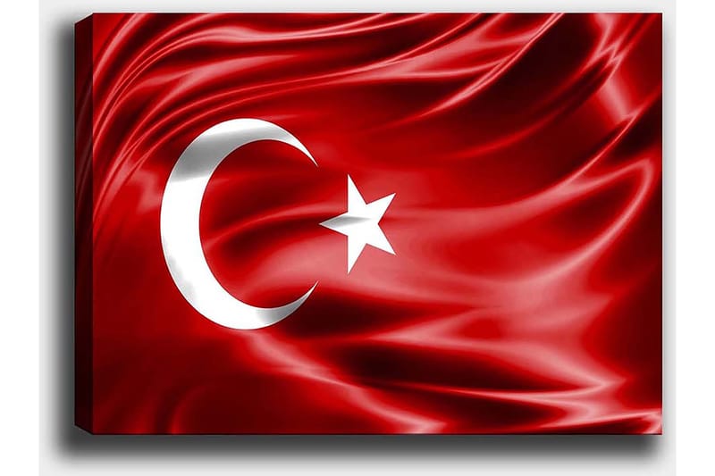 Dekorativ Canvasbillede 50x70 cm - Flerfarvet - Boligtilbehør - Billeder & kunst - Billeder på lærred