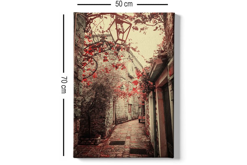 Dekorativ Canvasbillede 50x70 cm - Flerfarvet - Boligtilbehør - Billeder & kunst - Billeder på lærred