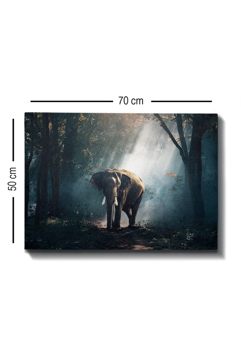 Dekorativ Canvasbillede 50x70 cm - Flerfarvet - Boligtilbehør - Billeder & kunst - Billeder på lærred