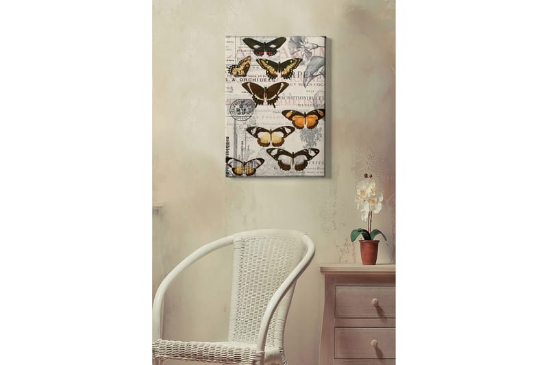 Dekorativ Canvasbillede 50x70 cm, Flerfarvet