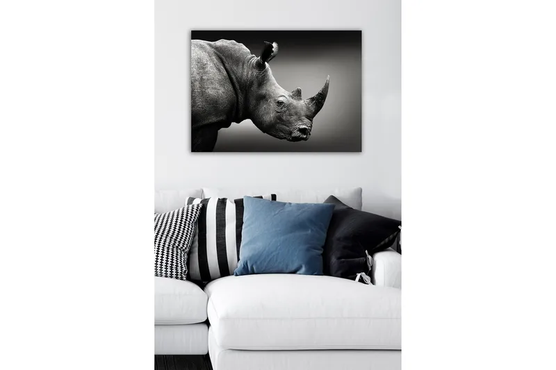 Dekorativ Canvasbillede 50x70 cm, Flerfarvet