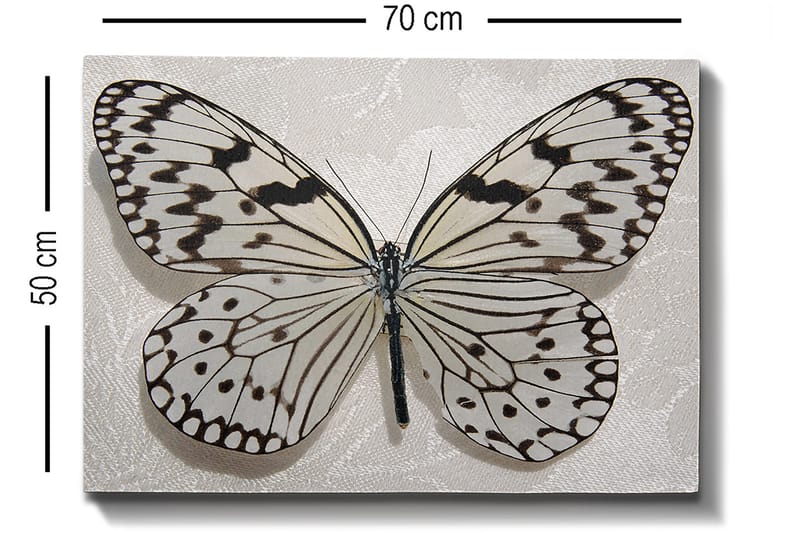 Dekorativ Canvasbillede 50x70 cm - Flerfarvet - Boligtilbehør - Billeder & kunst - Billeder på lærred