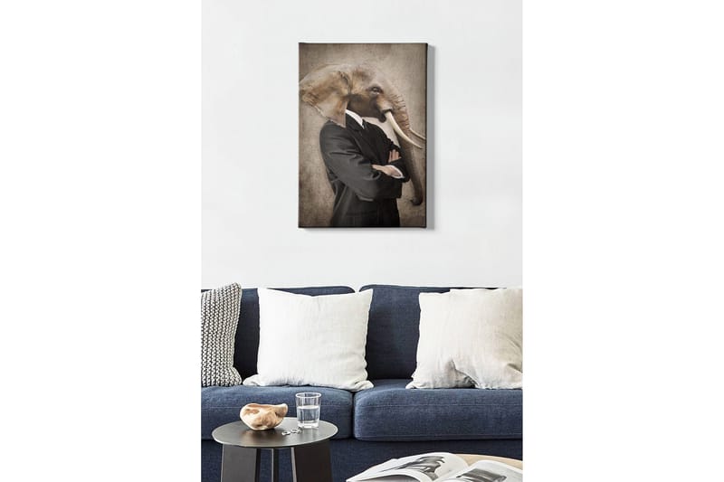 Dekorativ Canvasbillede 50x70 cm, Flerfarvet