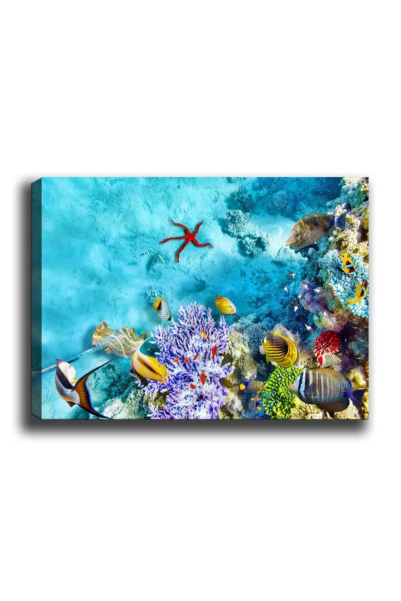 Dekorativ Canvasbillede 50x70 cm, Flerfarvet