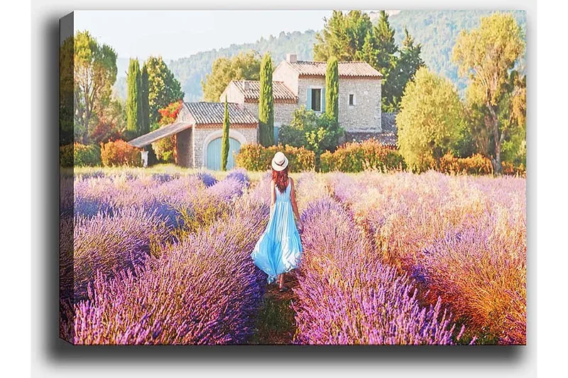 Dekorativ Canvasbillede 50x70 cm, Flerfarvet