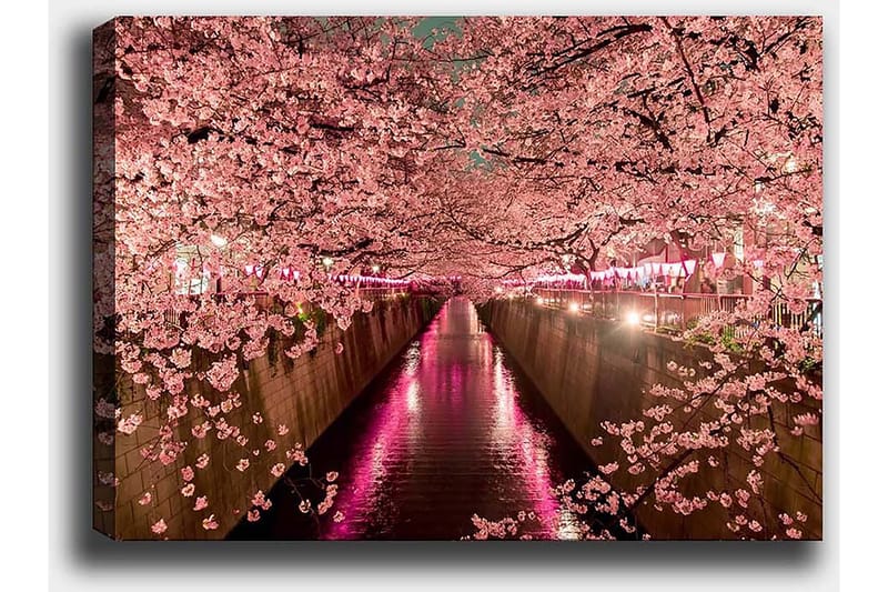 Dekorativ Canvasbillede 50x70 cm - Flerfarvet - Boligtilbehør - Billeder & kunst - Billeder på lærred