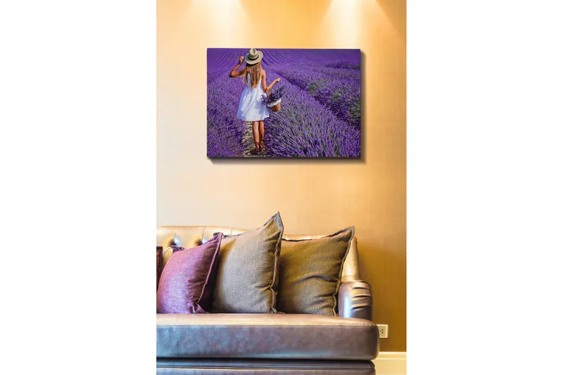 Dekorativ Canvasbillede 50x70 cm, Flerfarvet