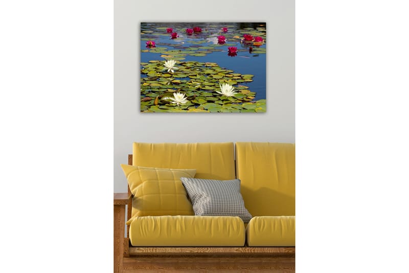 Dekorativ Canvasbillede 50x70 cm, Flerfarvet