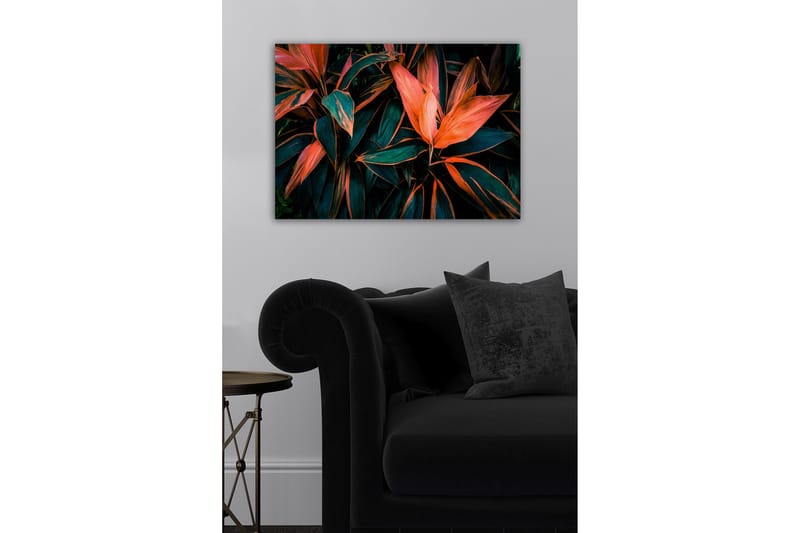 Dekorativ Canvasbillede 50x70 cm, Flerfarvet