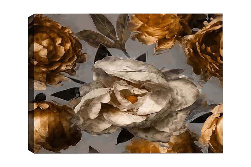 Dekorativ Canvasbillede 50x70 cm, Flerfarvet
