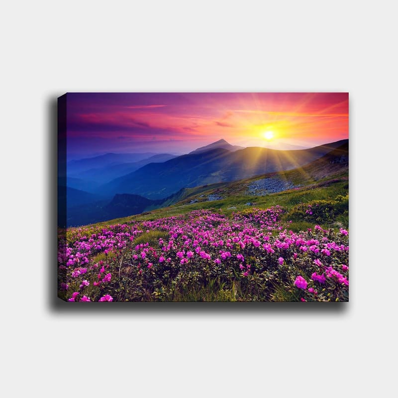 Dekorativ Canvasbillede 70x100 cm - Flerfarvet - Boligtilbehør - Billeder & kunst - Billeder på lærred