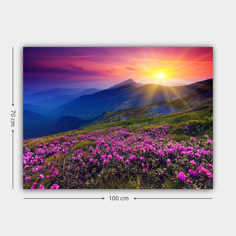 Dekorativ Canvasbillede 70x100 cm - Flerfarvet - Boligtilbehør - Billeder & kunst - Billeder på lærred