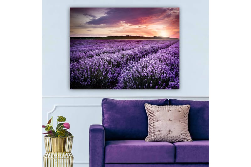 Dekorativ Canvasbillede 70x100 cm - Flerfarvet - Boligtilbehør - Billeder & kunst - Billeder på lærred