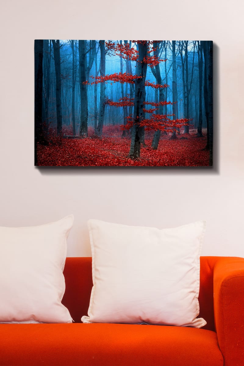 Dekorativ Canvasbillede 70x100 cm - Flerfarvet - Boligtilbehør - Billeder & kunst - Billeder på lærred
