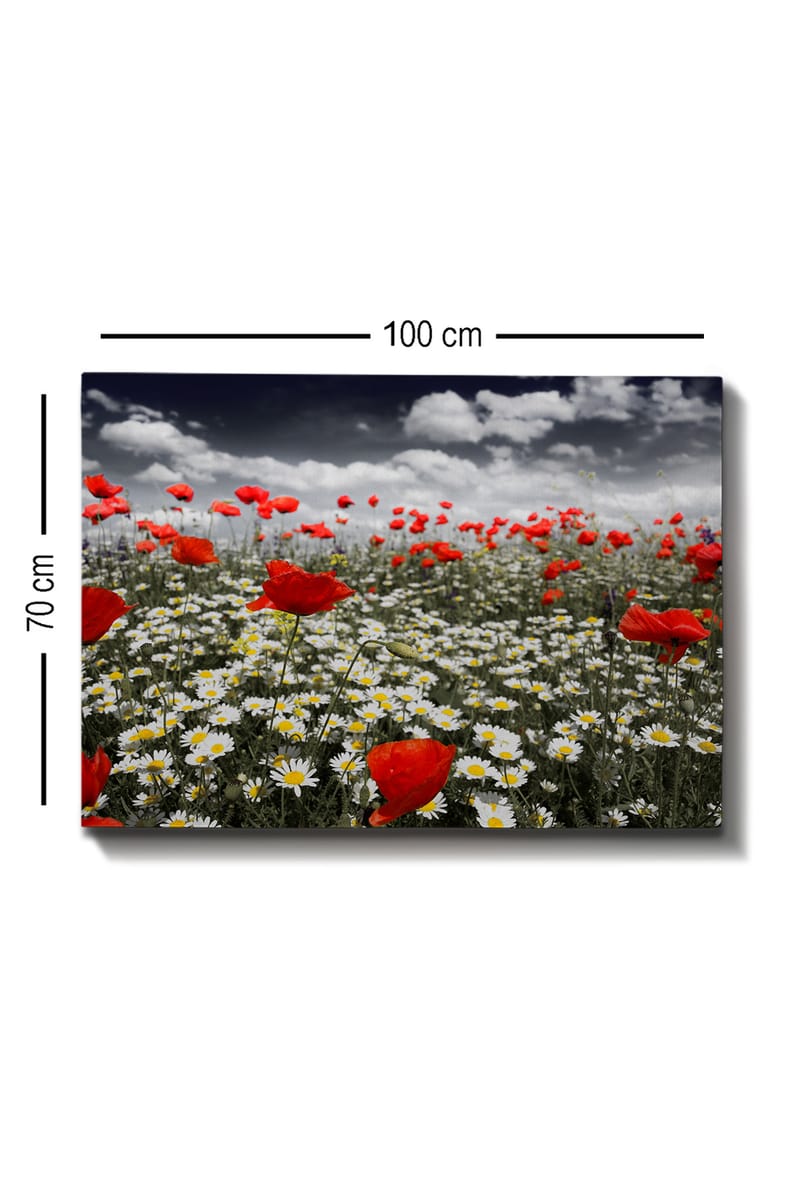 Dekorativ Canvasbillede 70x100 cm - Flerfarvet - Boligtilbehør - Billeder & kunst - Billeder på lærred
