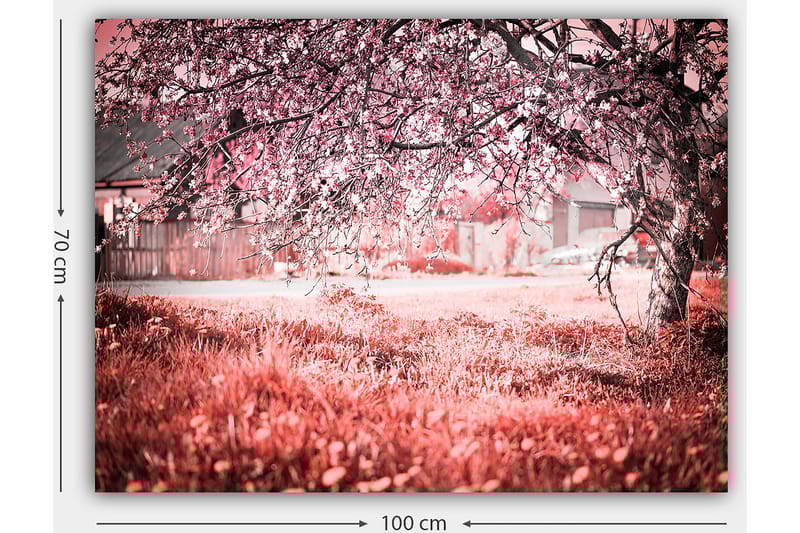 Dekorativ Canvasbillede 70x100 cm - Flerfarvet - Boligtilbehør - Billeder & kunst - Billeder på lærred