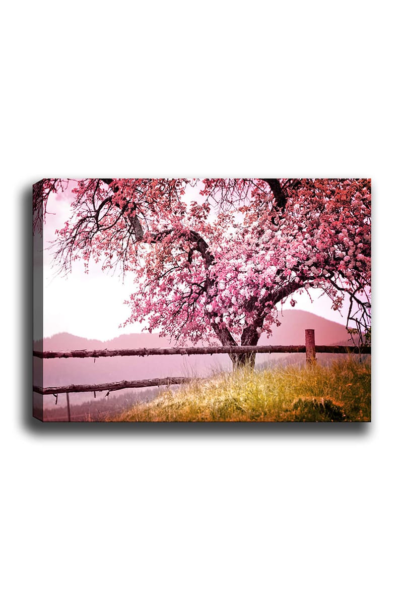 Dekorativ Canvasbillede 70x100 cm - Flerfarvet - Boligtilbehør - Billeder & kunst - Billeder på lærred