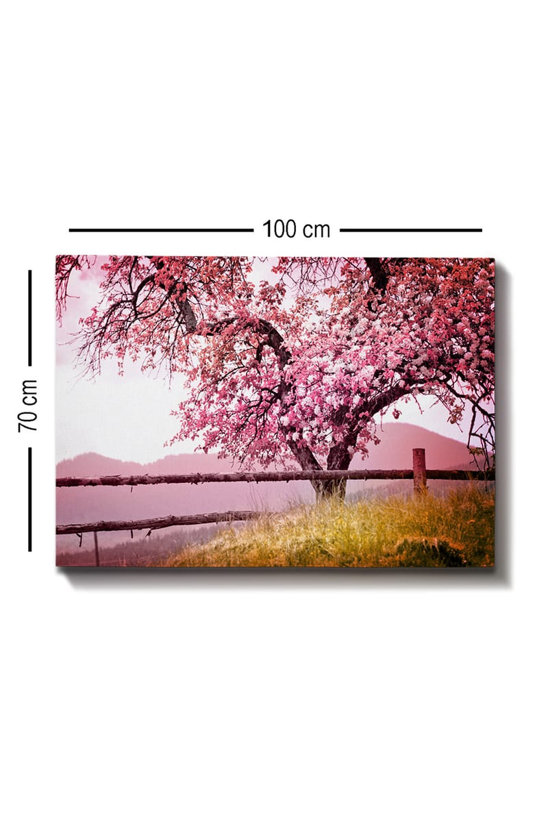 Dekorativ Canvasbillede 70x100 cm - Flerfarvet - Boligtilbehør - Billeder & kunst - Billeder på lærred