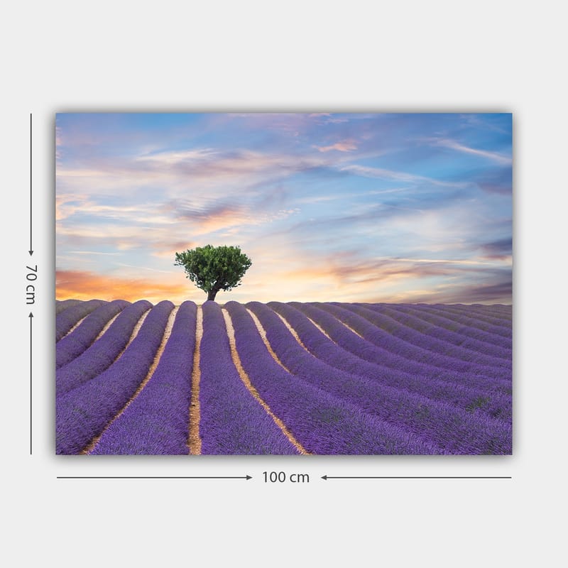 Dekorativ Canvasbillede 70x100 cm - Flerfarvet - Boligtilbehør - Billeder & kunst - Billeder på lærred