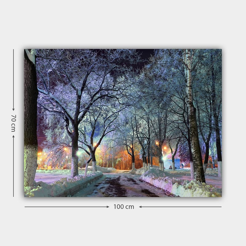 Dekorativ Canvasbillede 70x100 cm - Flerfarvet - Boligtilbehør - Billeder & kunst - Billeder på lærred