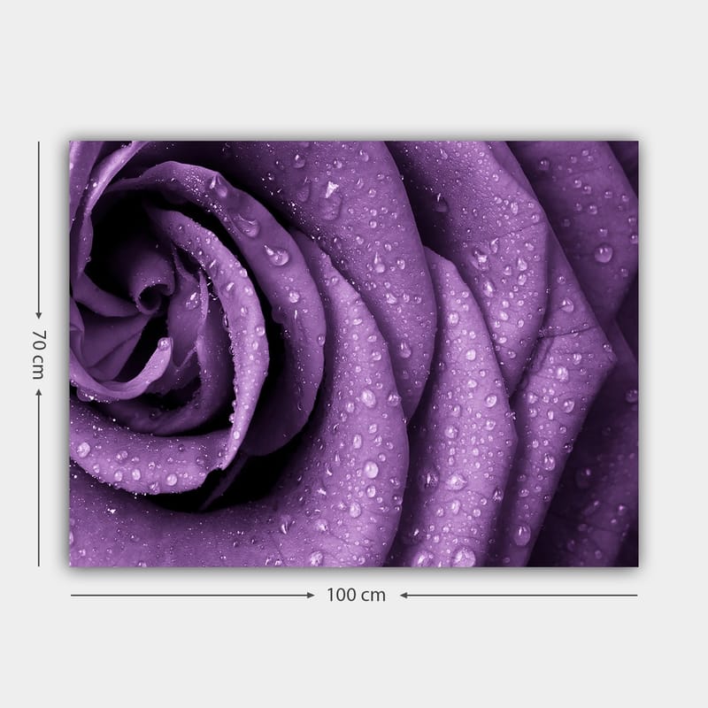 Dekorativ Canvasbillede 70x100 cm - Flerfarvet - Boligtilbehør - Billeder & kunst - Billeder på lærred