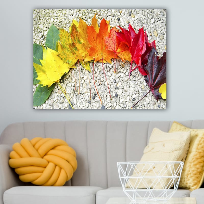 Dekorativ Canvasbillede 70x100 cm - Flerfarvet - Boligtilbehør - Billeder & kunst - Billeder på lærred