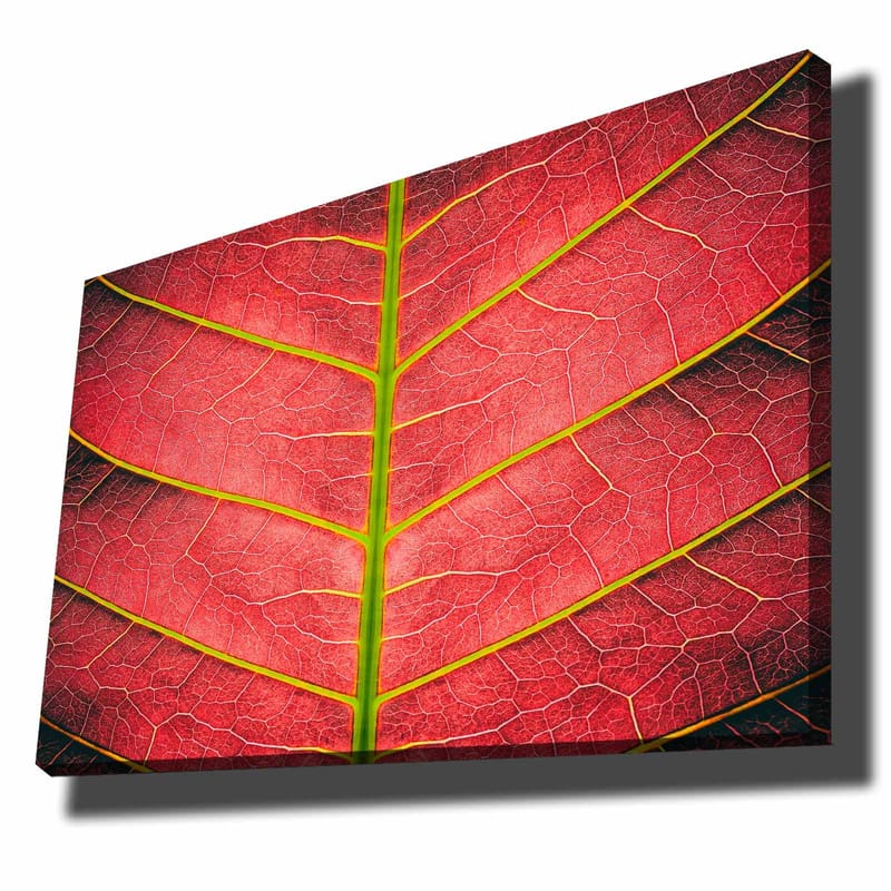 Dekorativ Canvasbillede 70x100 cm - Flerfarvet - Boligtilbehør - Billeder & kunst - Billeder på lærred